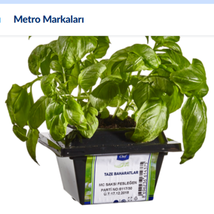 METRO Chef Saksı Baharat Fesleğen