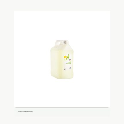 aro Limon Kolonyası 5 L